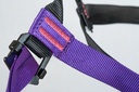 Beal Aero Team IV