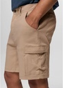prAna Stretch Zion 2025 10" Inseam Shorts – Men's