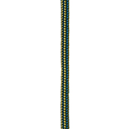 Tendon Accessory Cord
