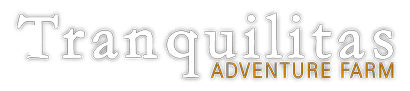 Tranquilitas Birthday Bash